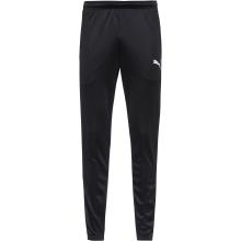 PUMA teamRISE Trainingshose Herren