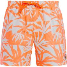 Protest PRTPANTHER Badehose Herren