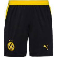 PUMA Borussia Dortmund Fußballshorts Kinder