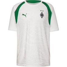 PUMA BMG Training Trikot Herren