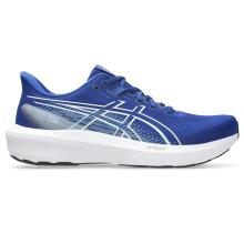 ASICS GT-1000 15 Laufschuhe Herren