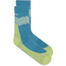 Icebreaker Herren Hike+ Medium Crew Across the Peaks Socken