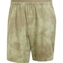 adidas Terrex Herren Multi SD Shorts