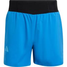 adidas Terrex Herren Xperior 5" Shorts