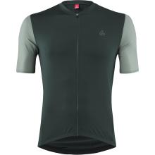 Löffler Herren Skys Clear Mid Half Zip Trikot