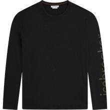 Icebreaker Herren Merino 150 Tech Lite IB Vertical Longsleeve