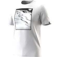 Dynafit Herren Graphic Cotton T-Shirt