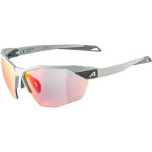 Alpina Twist Six HR QV 1-3 Sportbrille