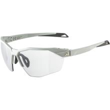 Alpina Twist Six HR V 1-3 Sportbrille