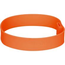 Salewa Puez Lunchbox Elastic Strap