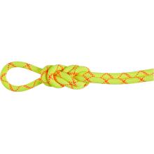 Mammut 9.5 Alpine Core Protect Dry Kletterseil