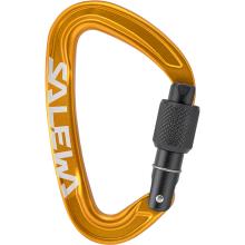 Salewa Ortles Screw Karabiner
