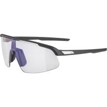 Alpina Turbo Pro S Sportbrille