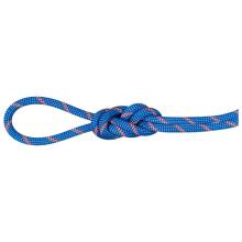 Mammut - 7.5 Alpine Sender Dry Rope - Halbseil Gr 70 m blau/weiß