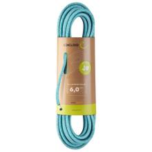 Edelrid - Rap Line Protect Eco Dry 6 mm - Reepschnur Gr 40 m bunt