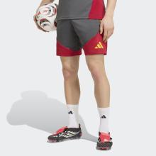 Damen/Herren Fußball Trainingsshorts - AS Rom 26/27 grau/rot