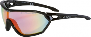 ALPINA S-WAY QVM+  - Sportbrille - Brille