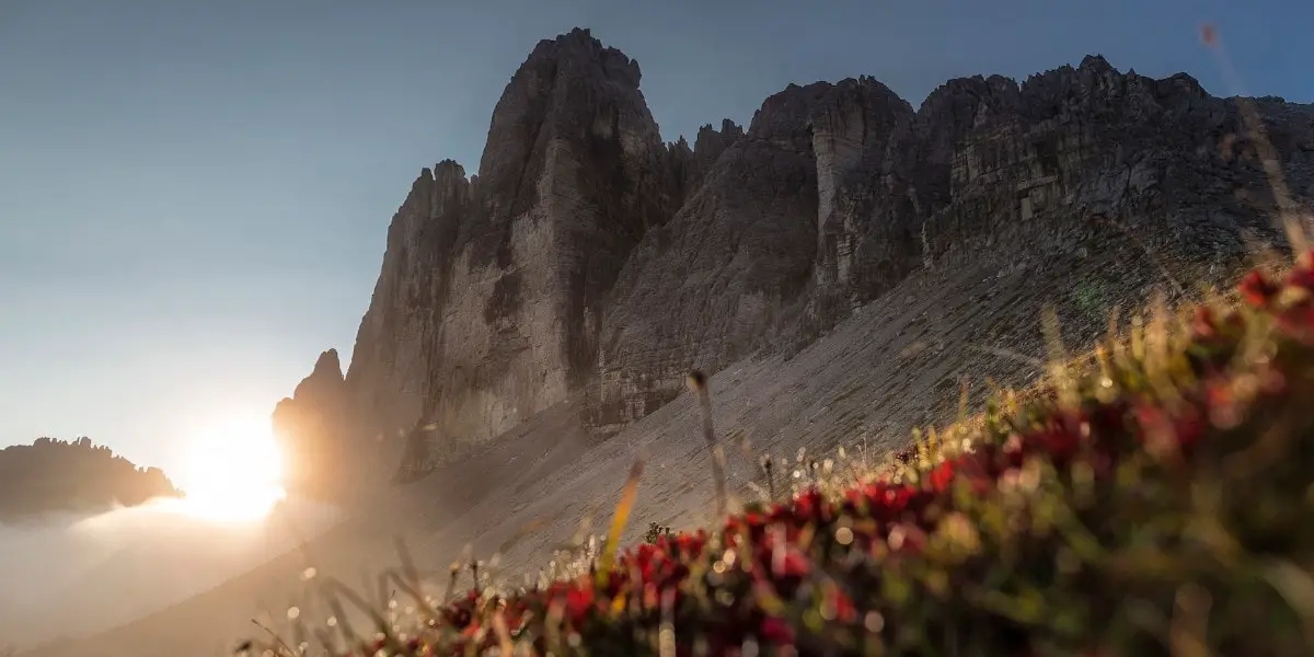1_SALEWA_ Trailrunning _Entdecke neues Terrain - es lohnt sich wirklich
