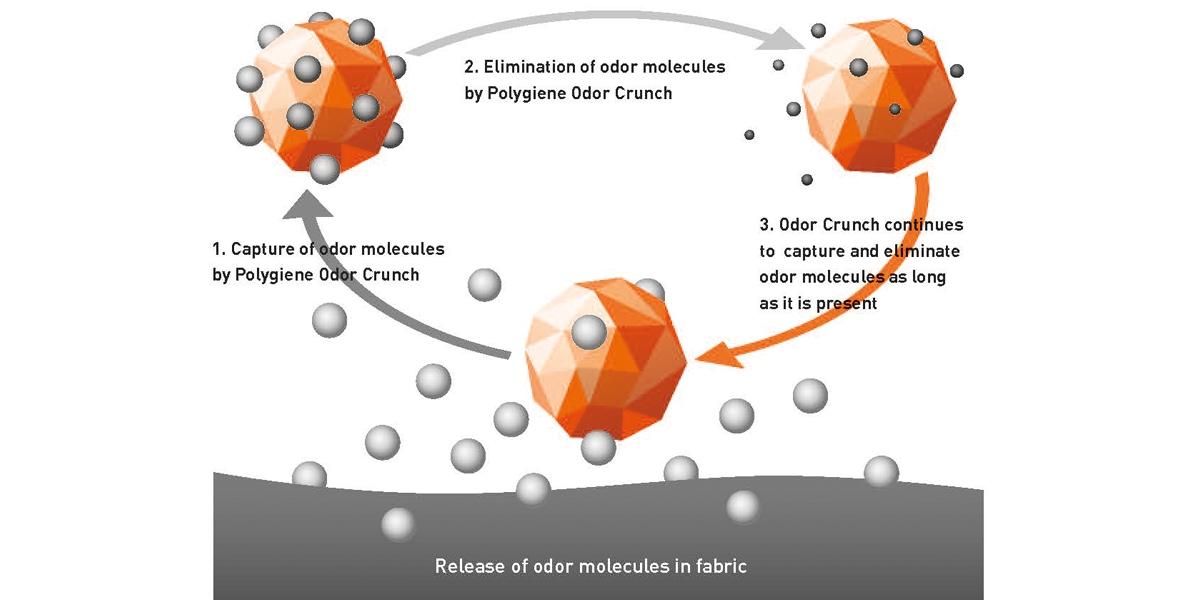 Polygiene Odor Crunch