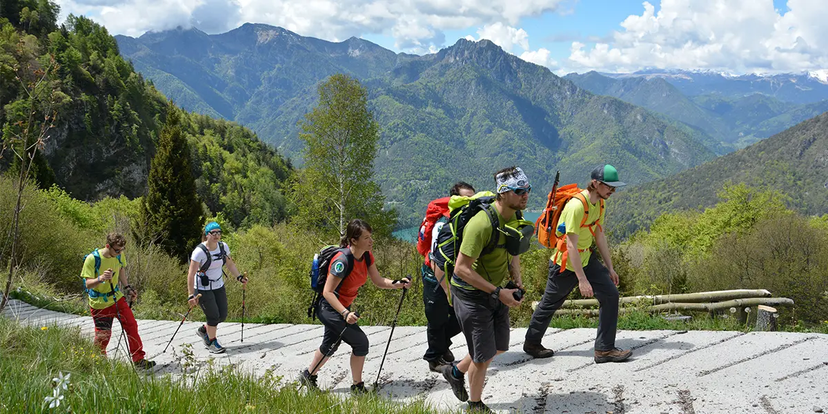 Trekkingstöcke aus verschiedenen Materialien