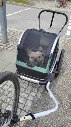 Sichtliche Freude bei Ulli