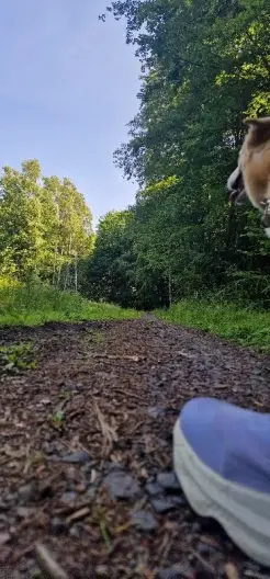 Neben den vielen Feldern,fuhren uns auch schone Strecken durch Waldstücke mit wechselnden, anspruchsvollen Untergründen.