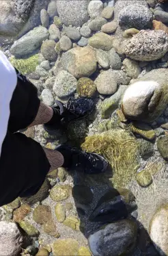 Schuhe im Wasser