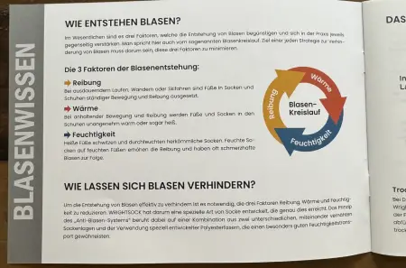 Blasenkreislauf