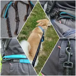 Ein toller Begleiter für das Wandern mit dem Hund. Freihandleine mit sehr gutem Preis-Leistung-Verhältnis.