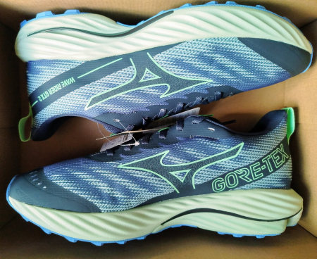 MIZUNO Wave Rider GTX Laufschuhe, Herren Test Bewertung auf