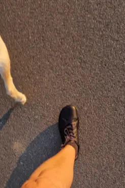 Abendrunde im Sonnenuntergang auf Asphalt