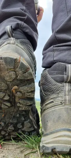 Gutes Profil trägt dich weit und sicher