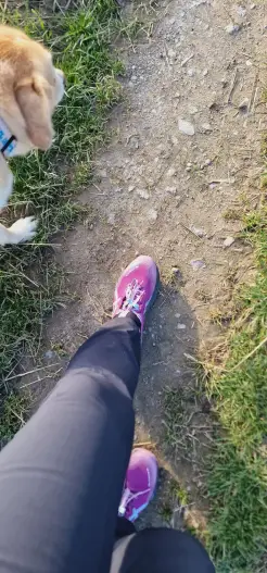 Da wo sonst die Trecker fahren
