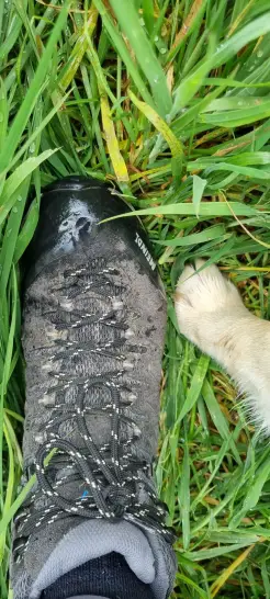 Der Zehenschutz hilft nicht nur bei Stößen, sondern auch vor Nässe.