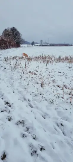 Auch bei Schnee und Eis im Einsatz