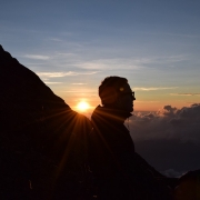 Yogi2601